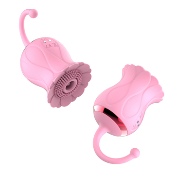 10 Modes Pink Rose Sex Toy , Handheld Clitoral Sucking Licking Vibrator